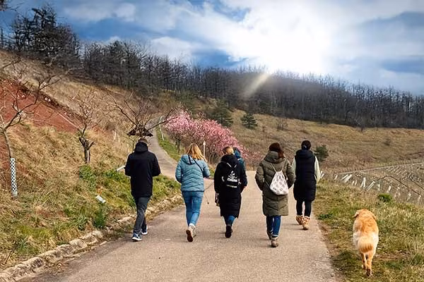 Outdoor-Escape-Abenteuer: Fluch des Dolomitenfels