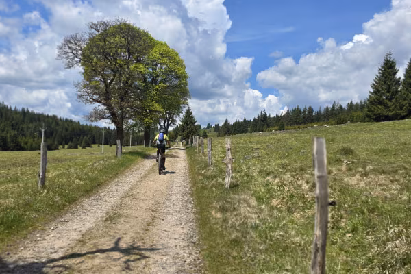 E-MTB Tour - Die geheime Fabrik im Erzgebirge