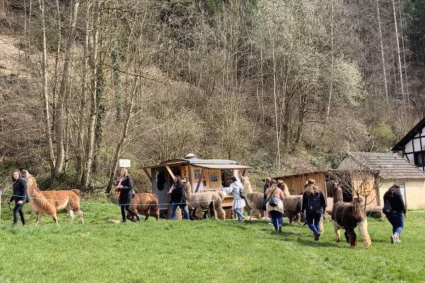 Schlemmerwanderung mit Lamas und Alpakas (Gruppentour)