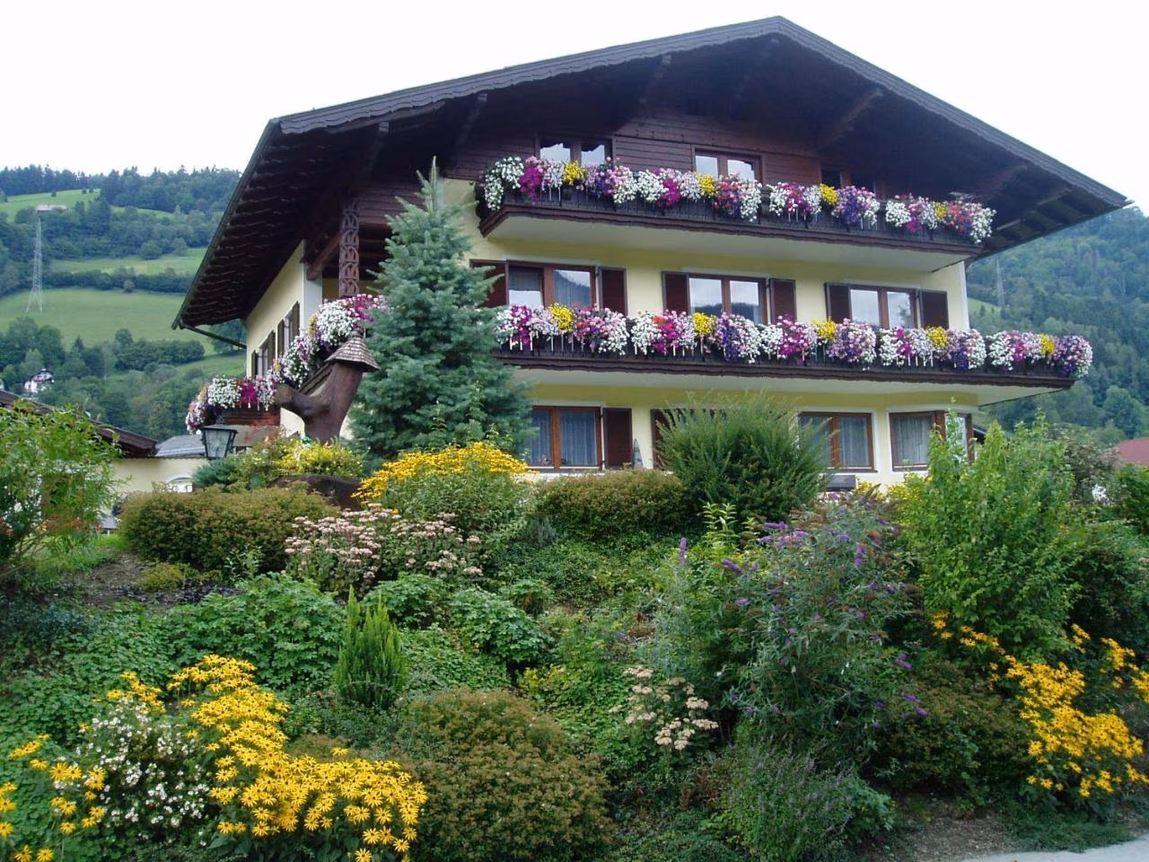 Bild der Unterkunft