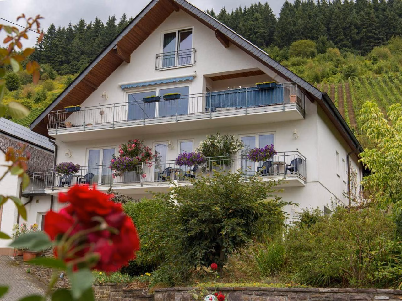 Bild der Unterkunft