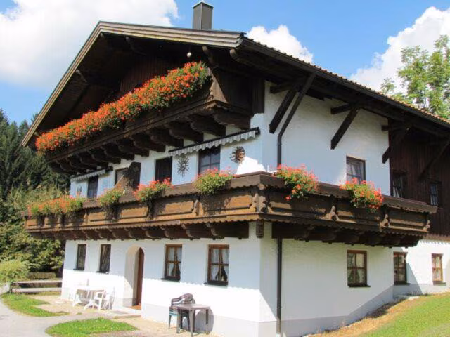 Apartment - Erdgeschoss