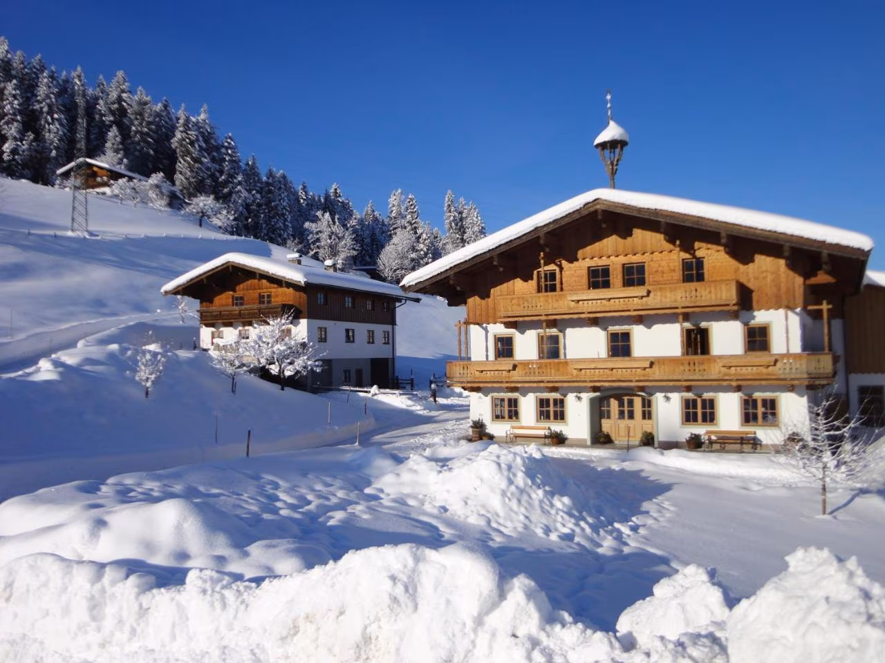 Bild der Unterkunft