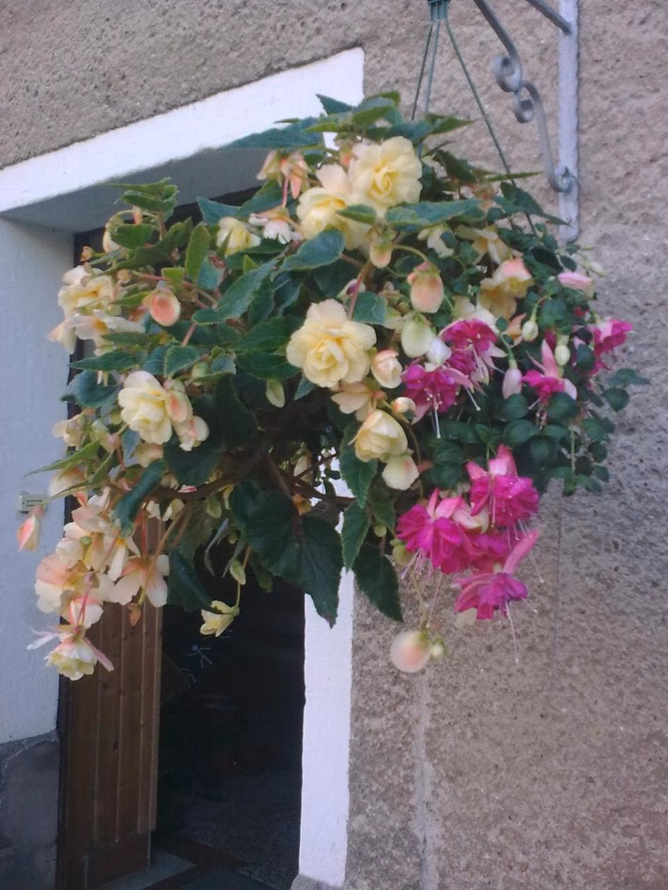 Apartment mit 2 Schlafzimmern