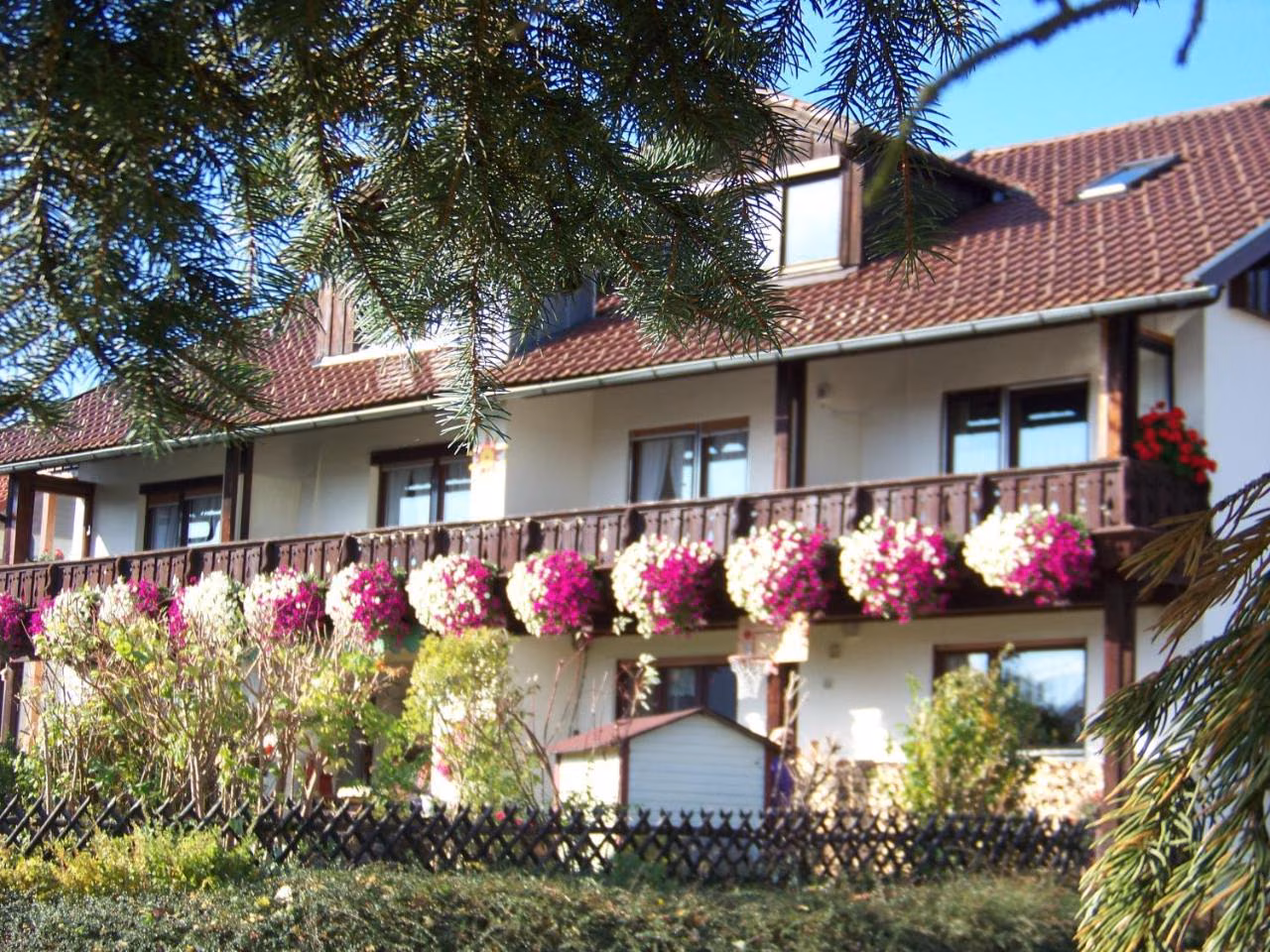 Bild der Unterkunft