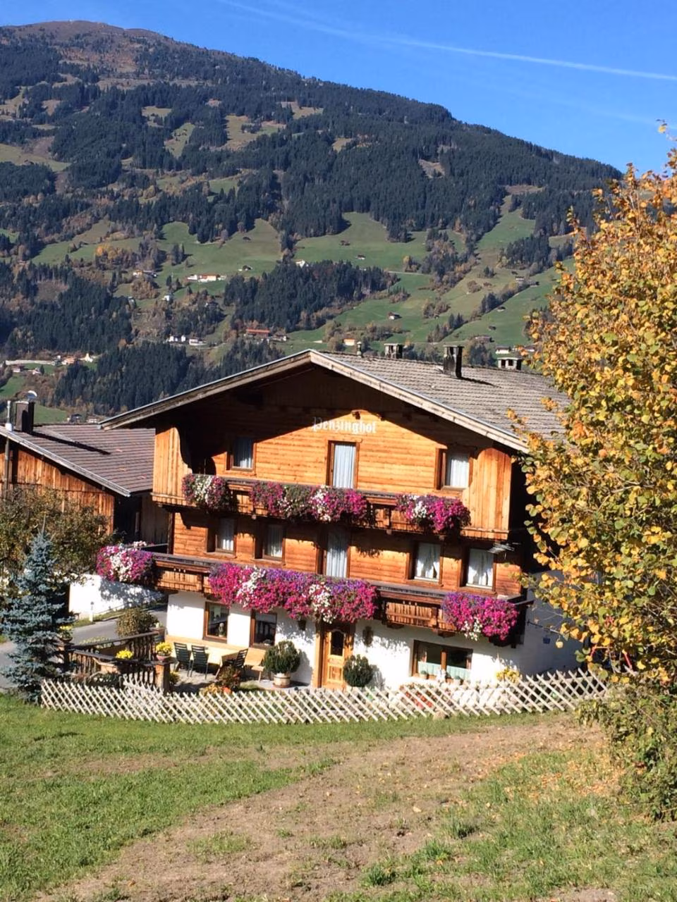 Bild der Unterkunft