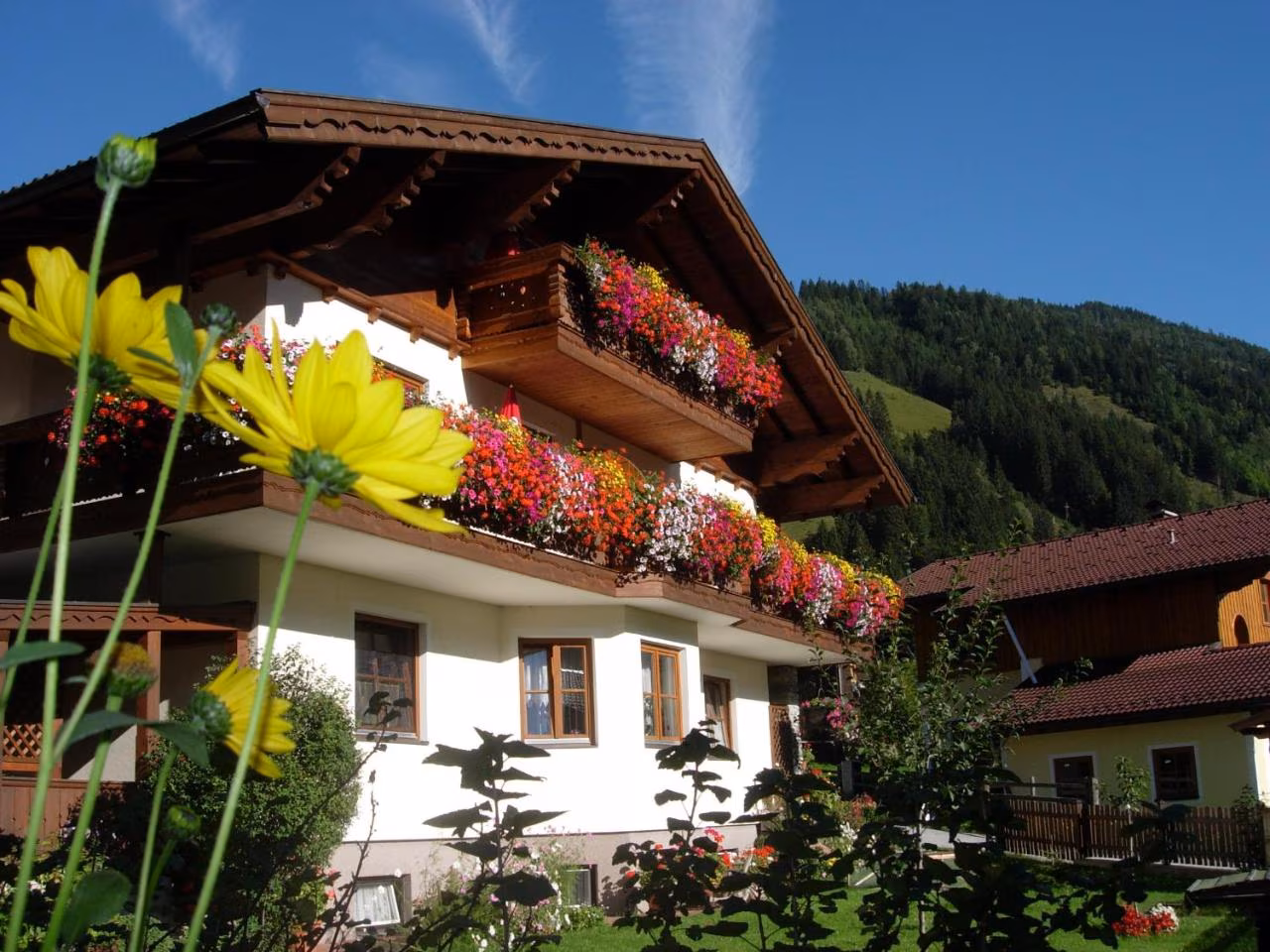 Bild der Unterkunft
