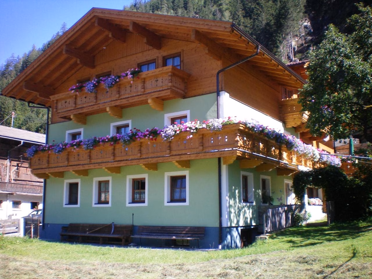 Bild der Unterkunft