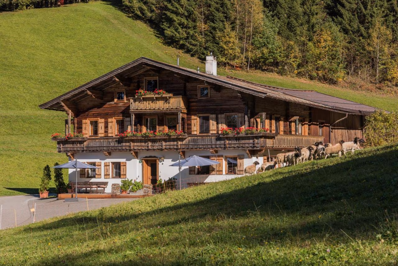 Bild der Unterkunft