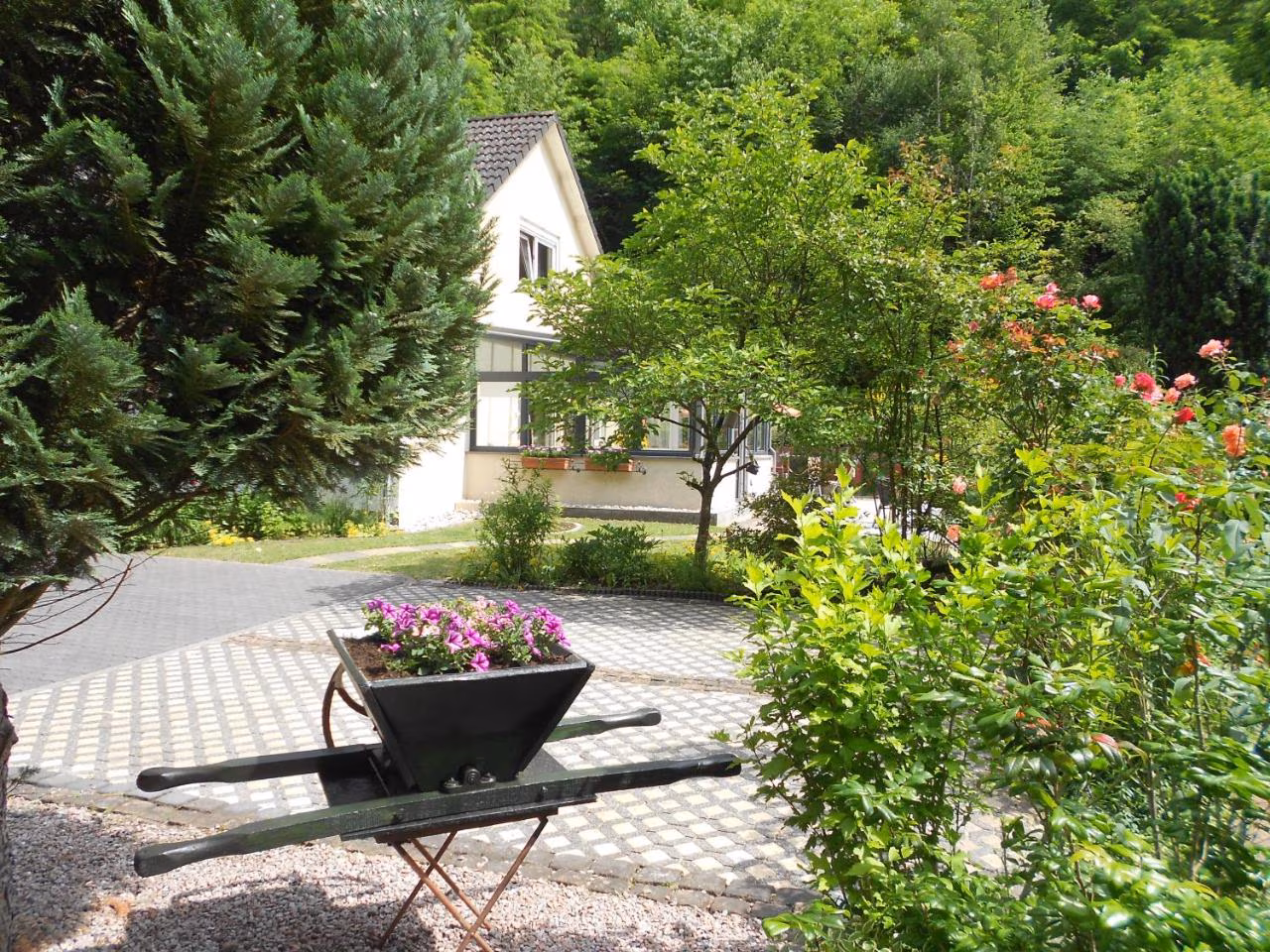 Bild der Unterkunft