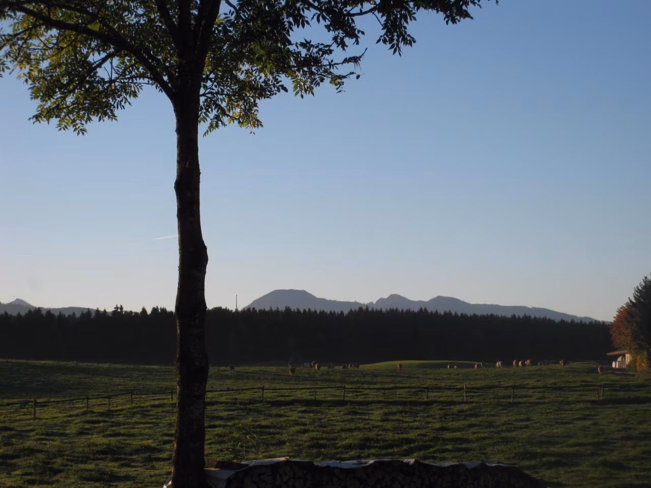 Doppelzimmer mit Bergblick