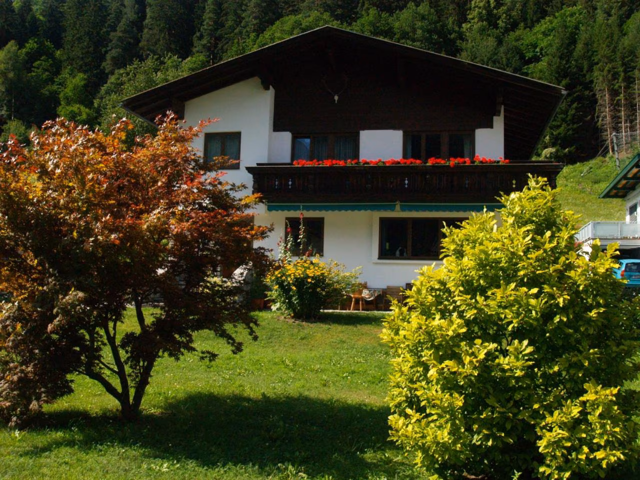 Apartment - Erdgeschoss