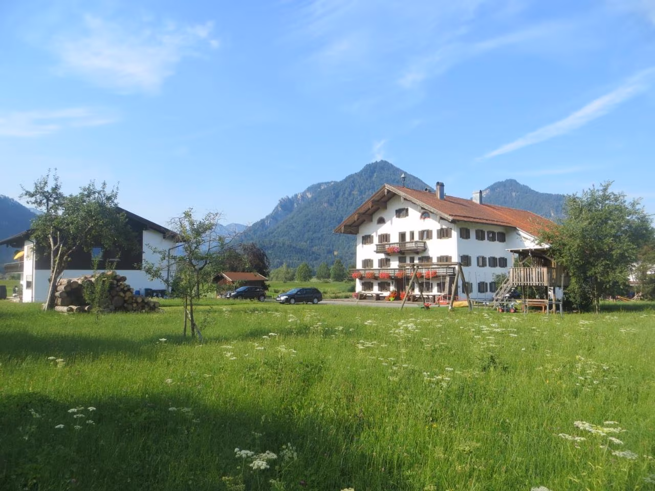 Apartment - Erdgeschoss