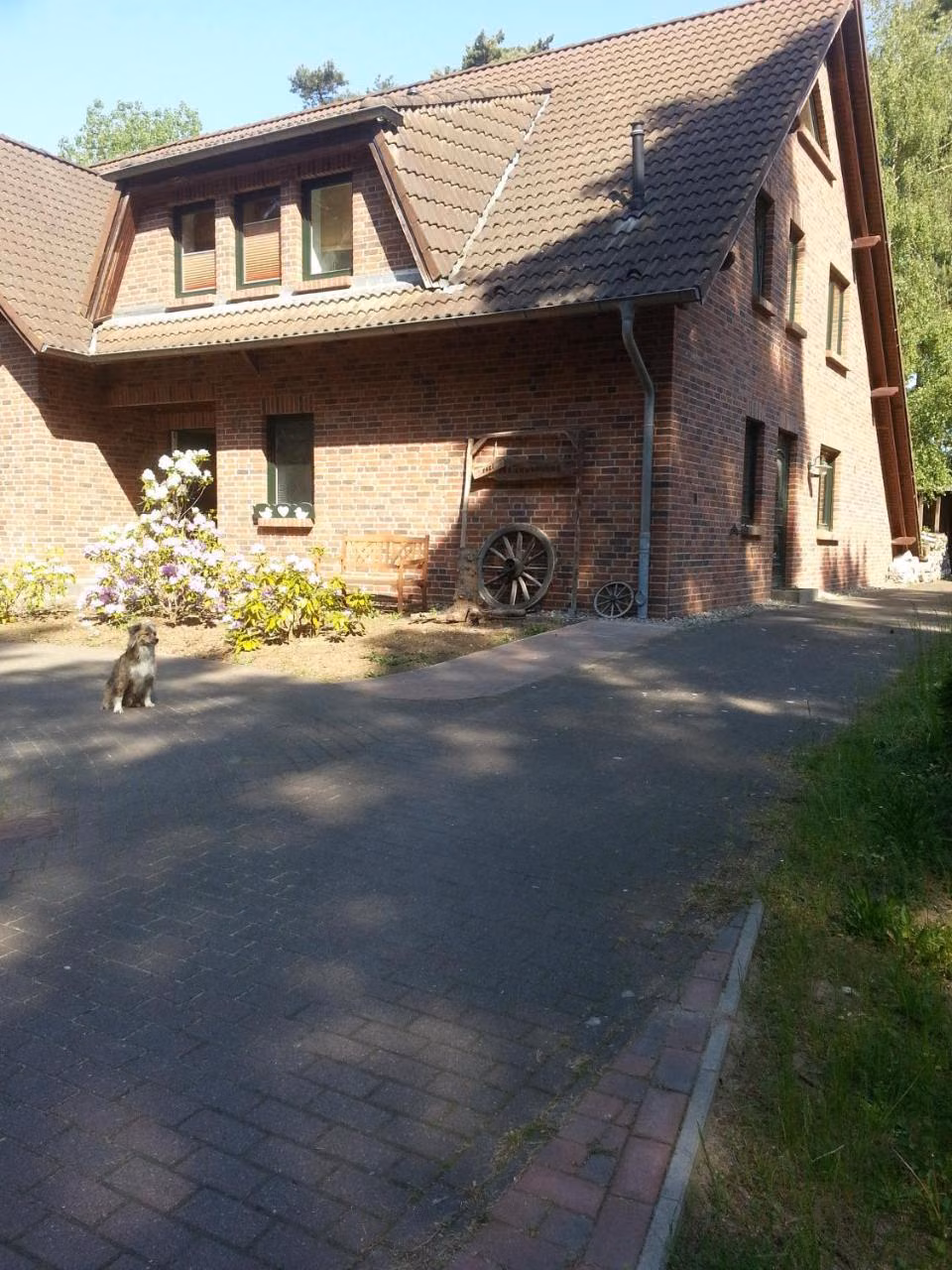 Bild der Unterkunft