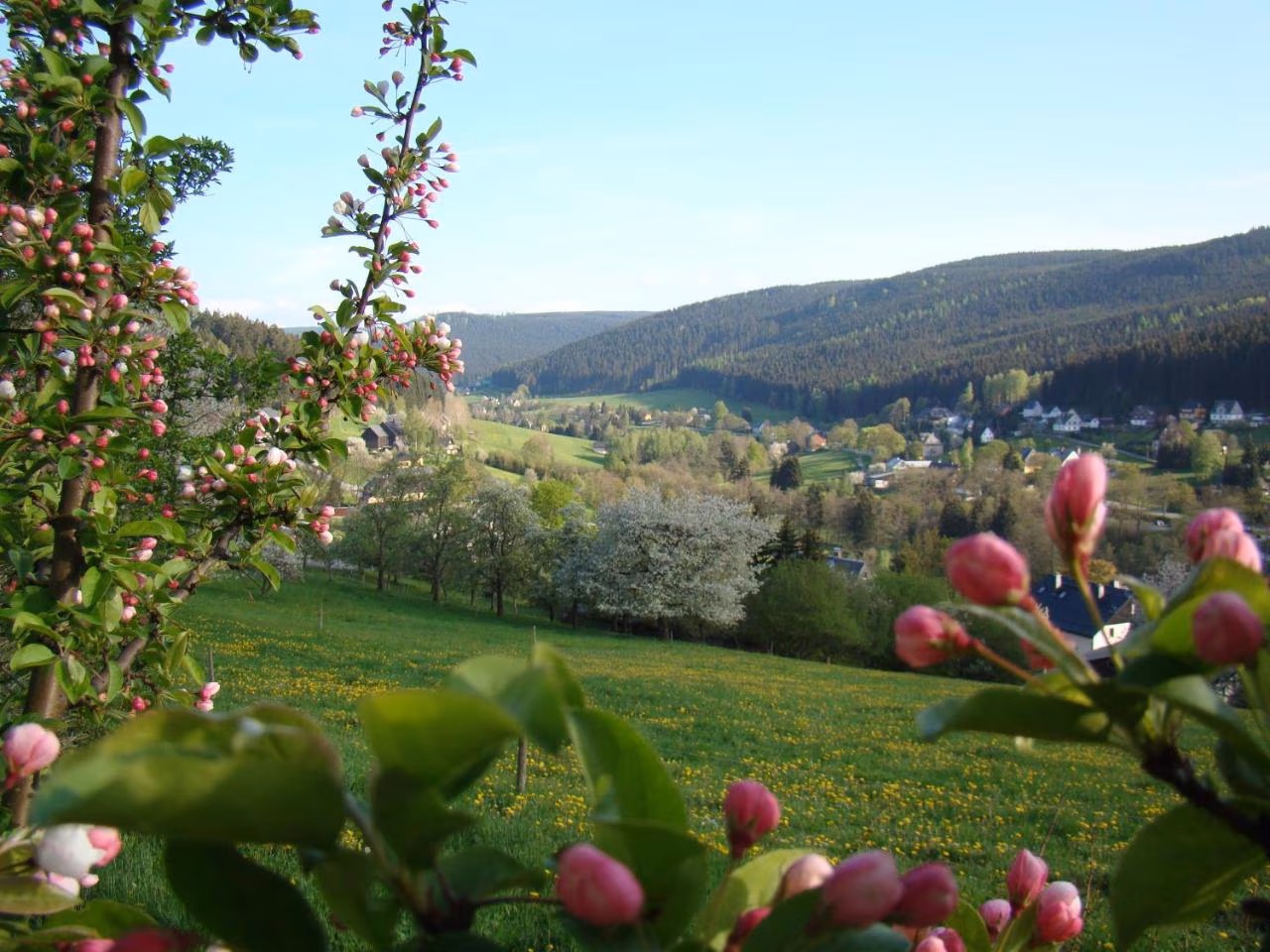 Bild der Unterkunft