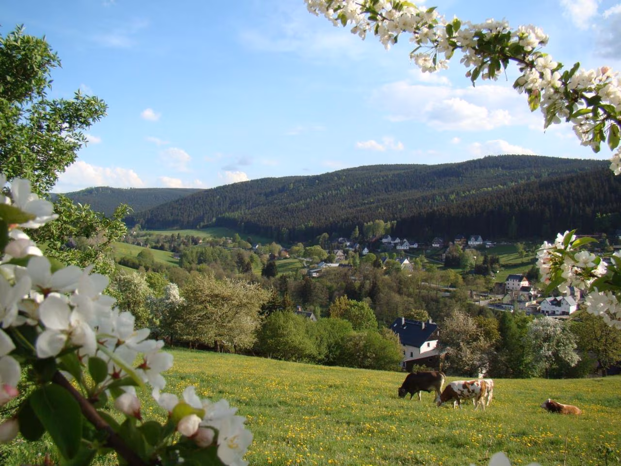 Bild der Unterkunft