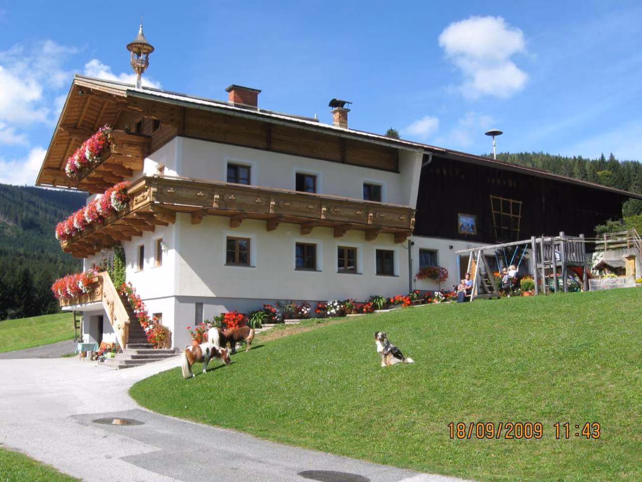 Bild der Unterkunft