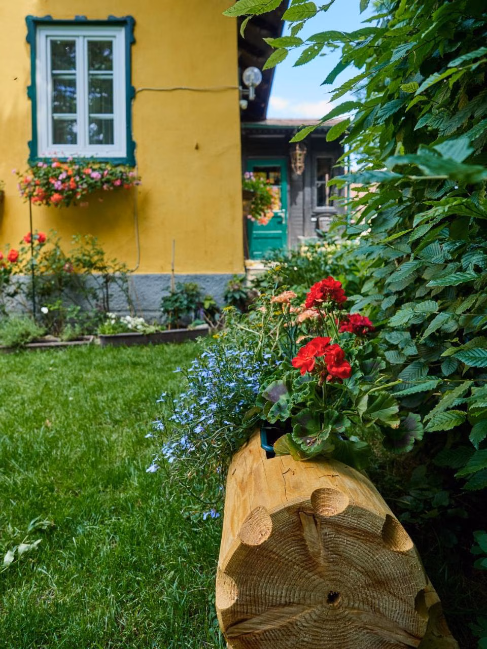 Bild der Unterkunft
