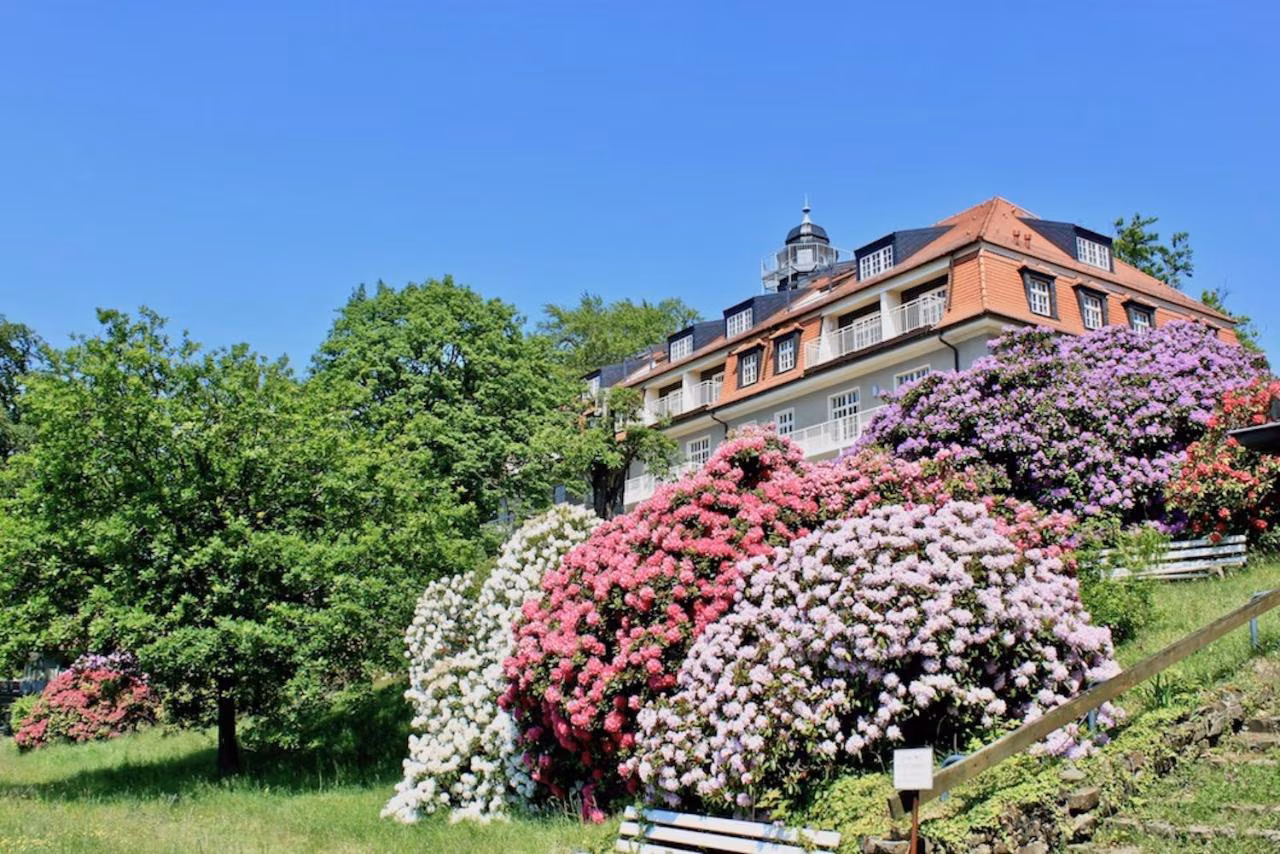 Bild der Unterkunft