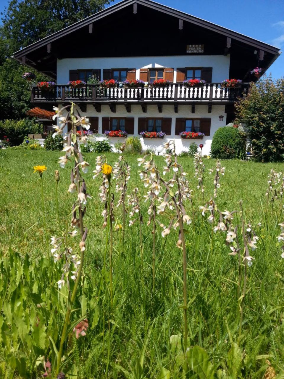 Bild der Unterkunft