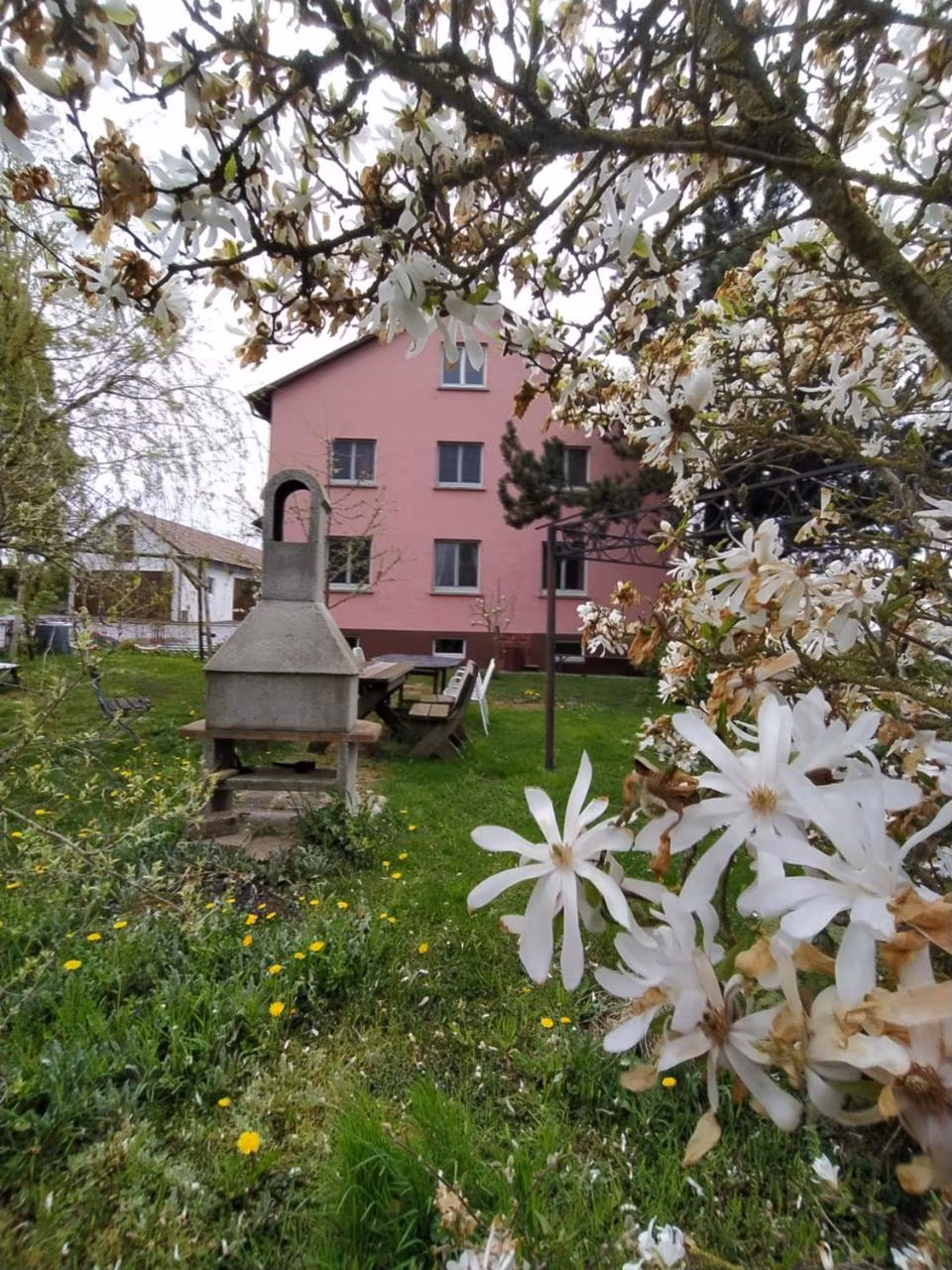 Bild der Unterkunft
