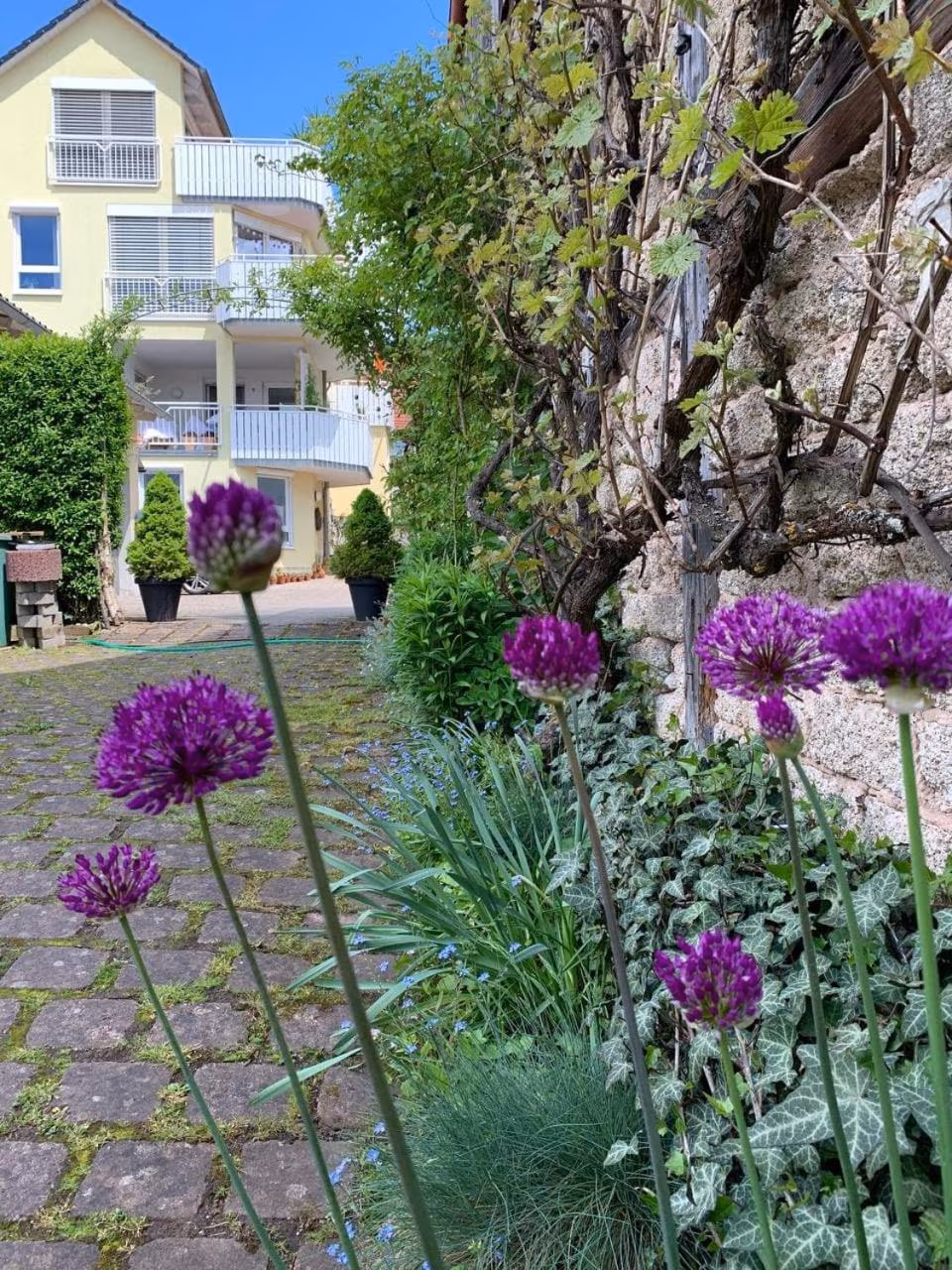Apartment mit 2 Schlafzimmern