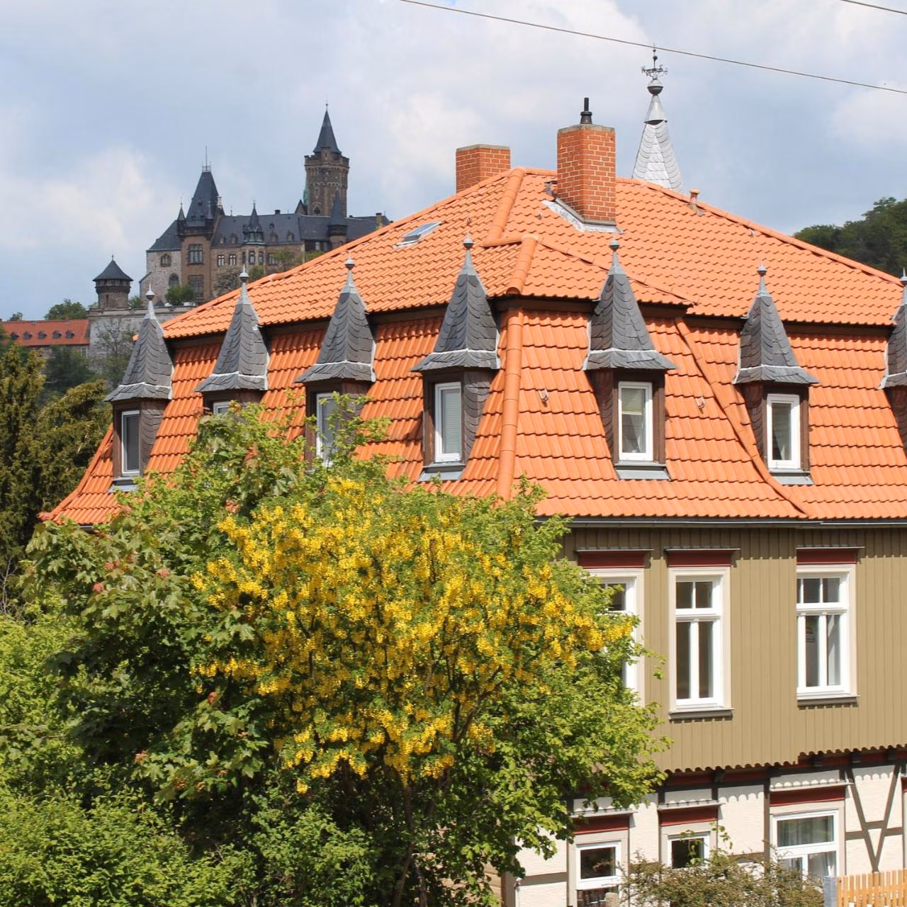 Bild der Unterkunft