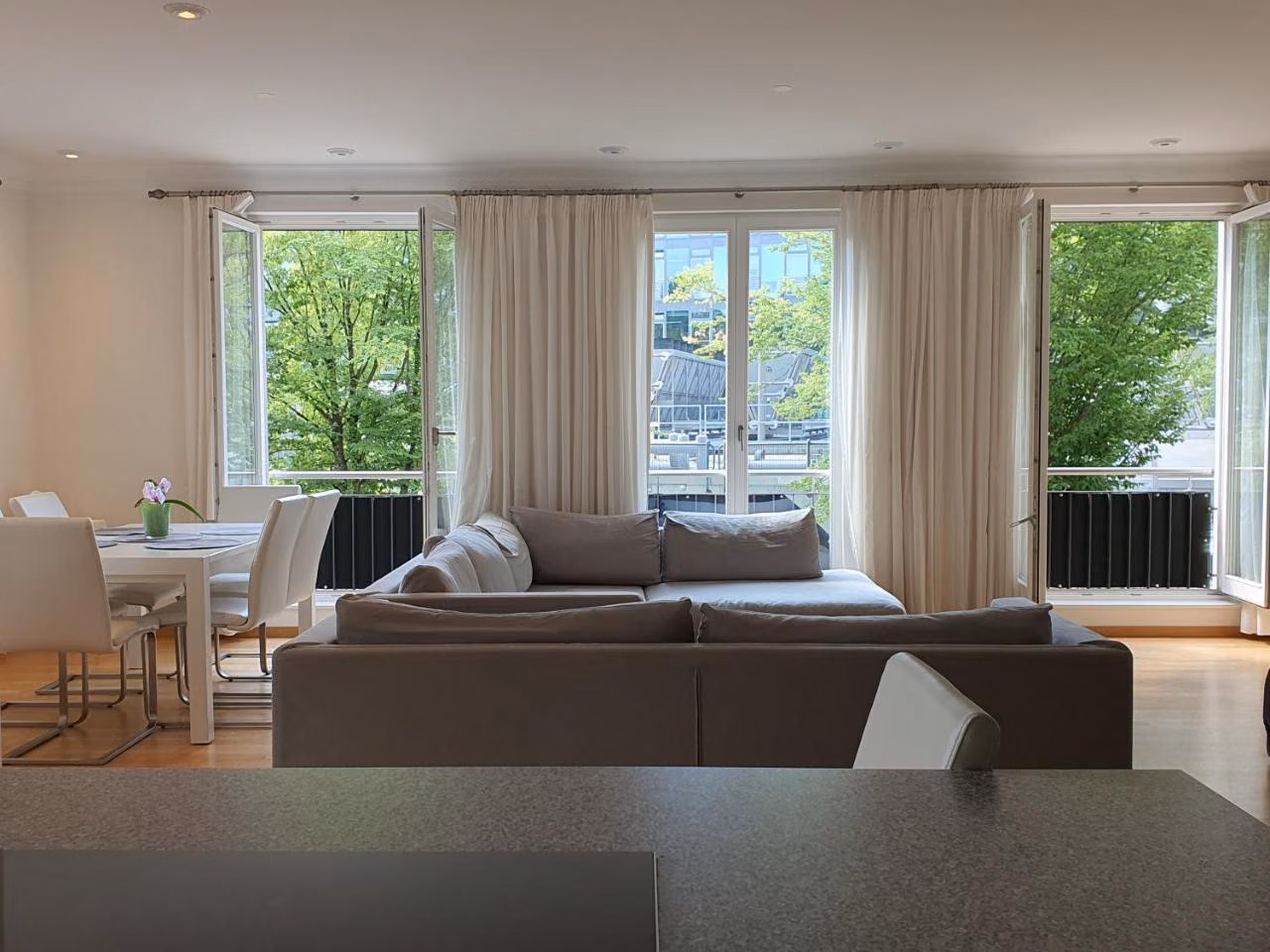 Deluxe Apartment