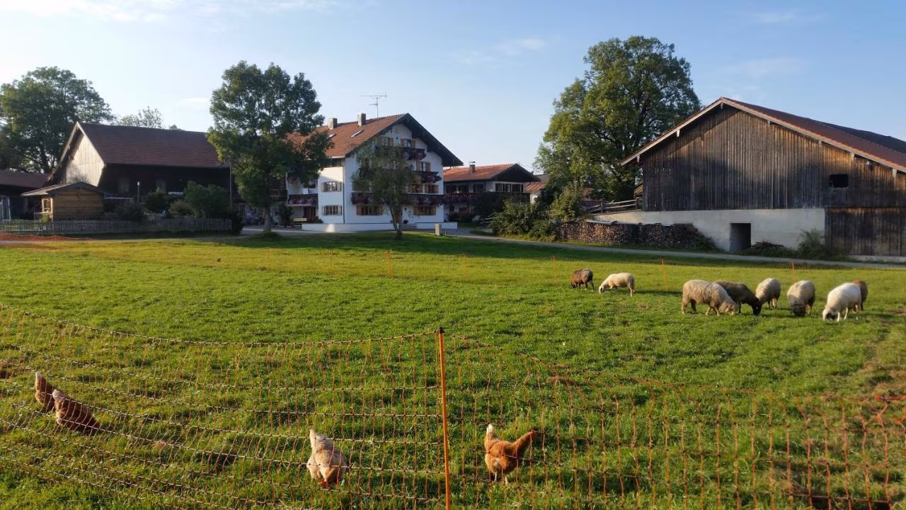 Doppelzimmer mit Bergblick