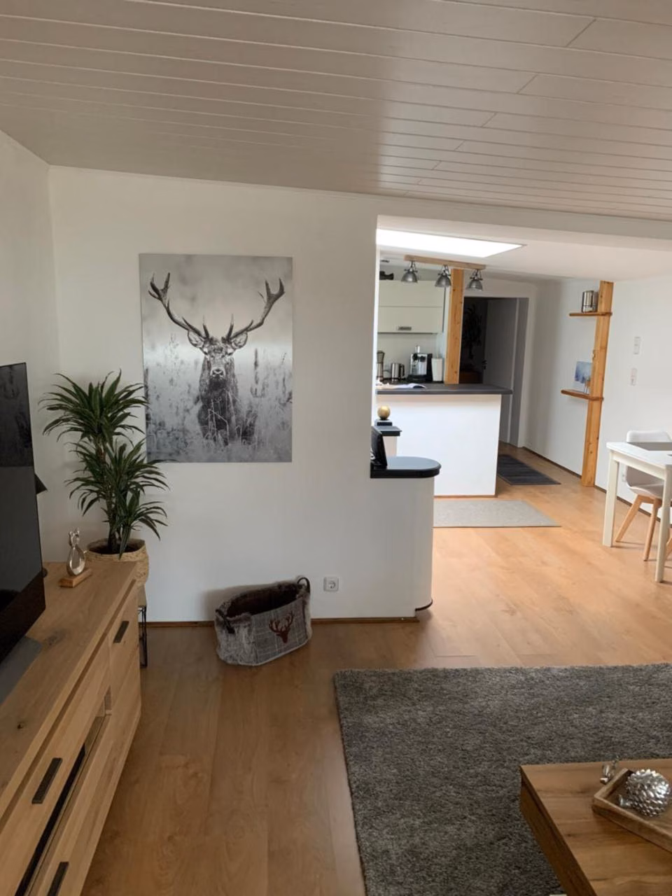 Apartment mit 1 Schlafzimmer