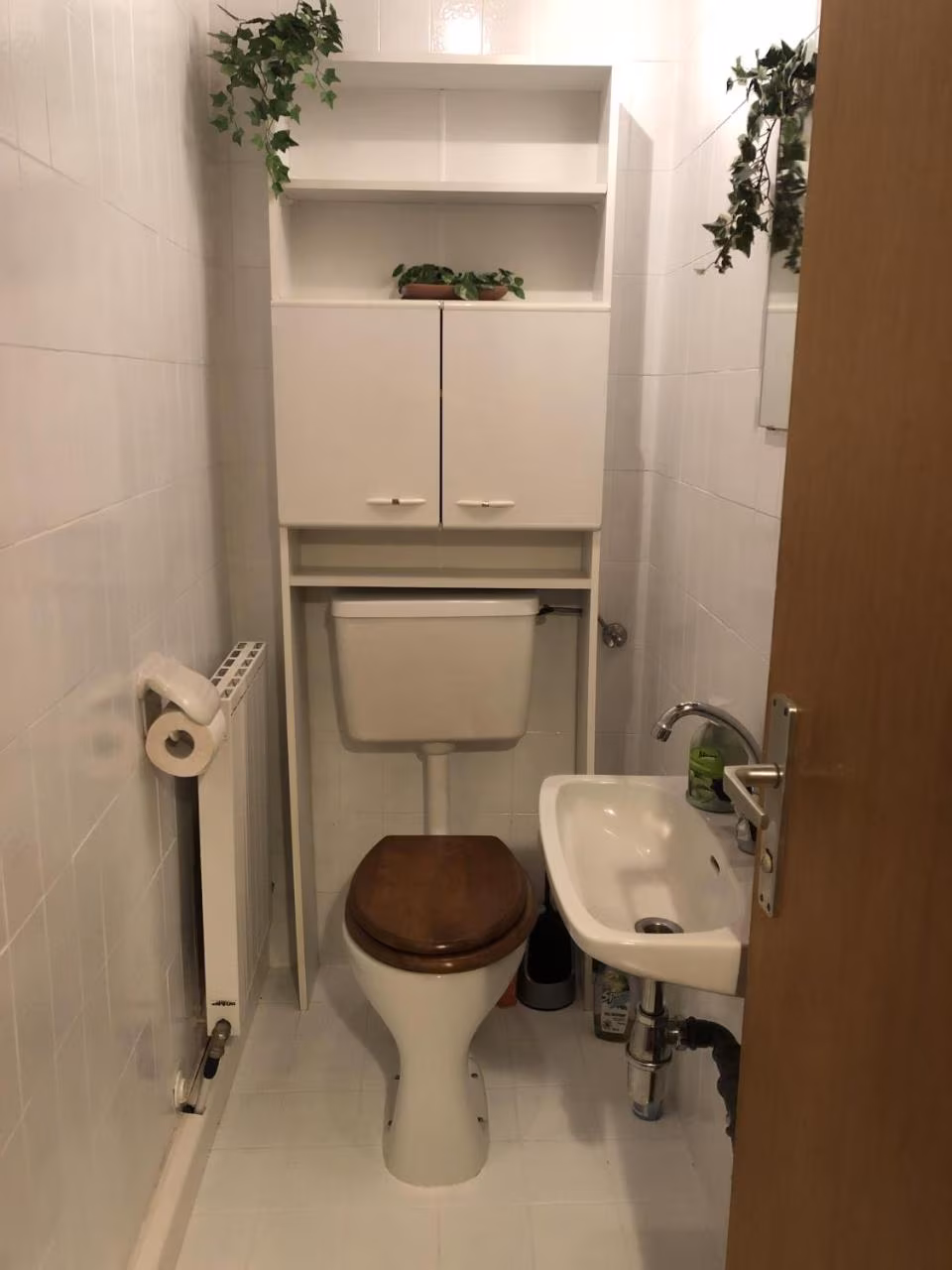 Apartment mit 2 Schlafzimmern und Dusche 