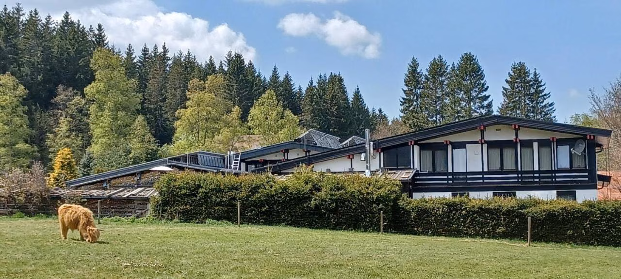 Apartment - Erdgeschoss