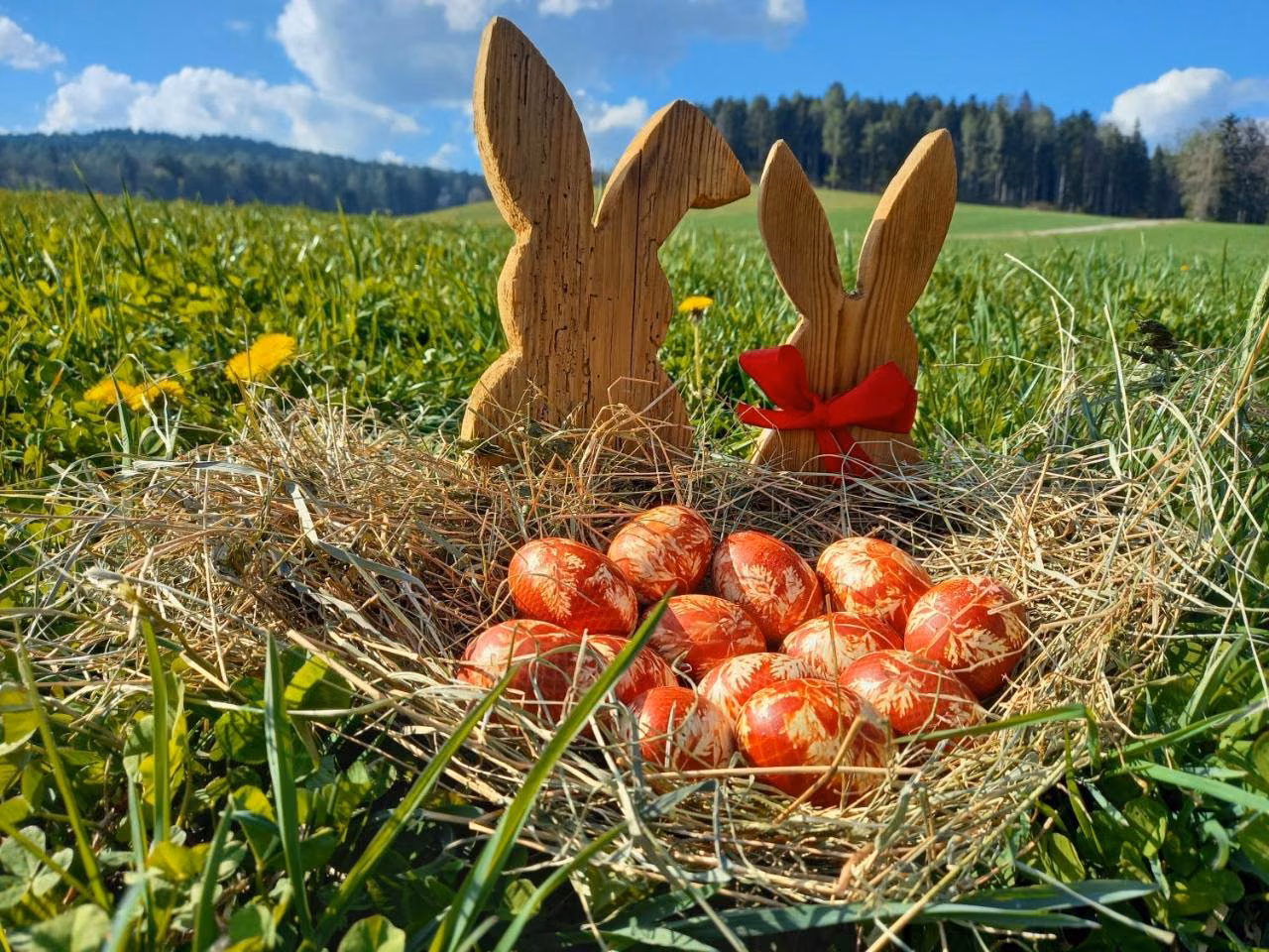 Bild der Unterkunft