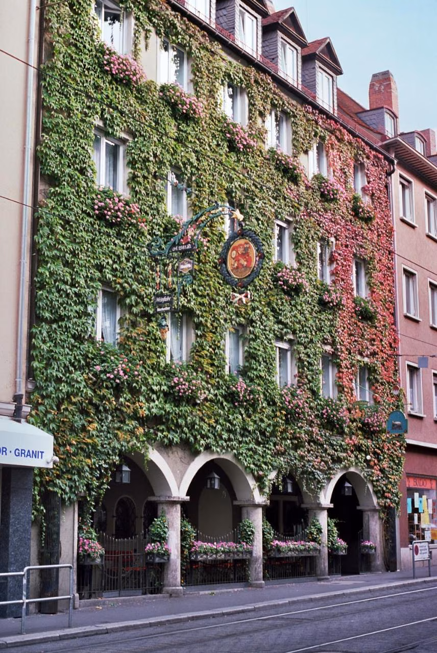 Bild der Unterkunft