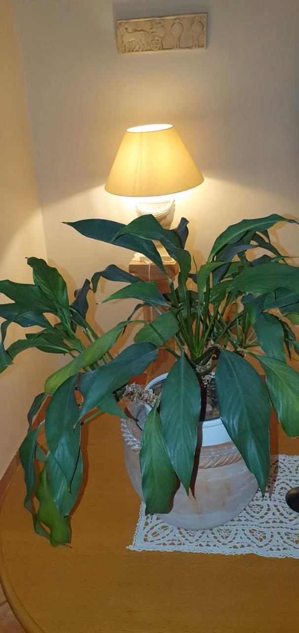 Apartment mit 2 Schlafzimmern