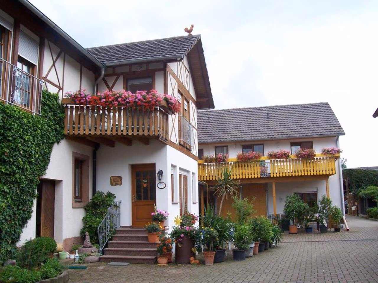 Bild der Unterkunft