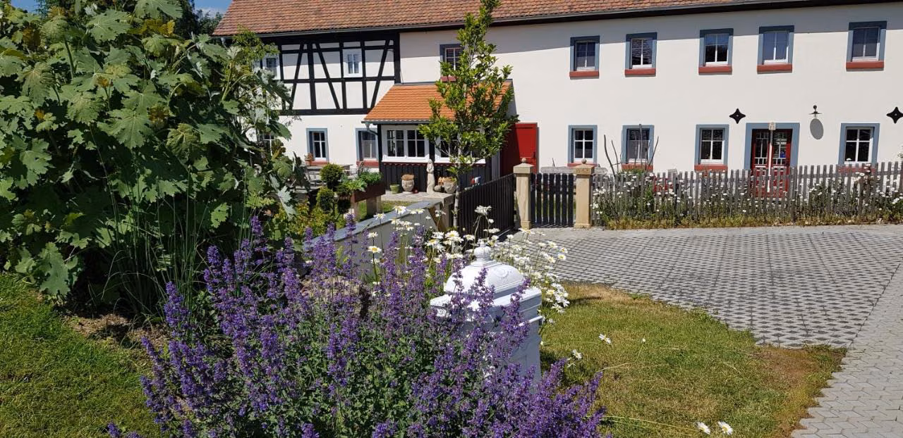Bild der Unterkunft