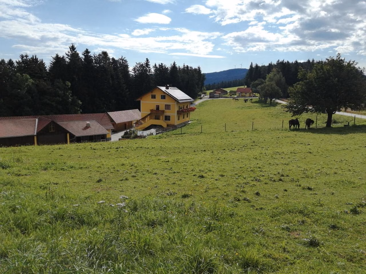Bild der Unterkunft