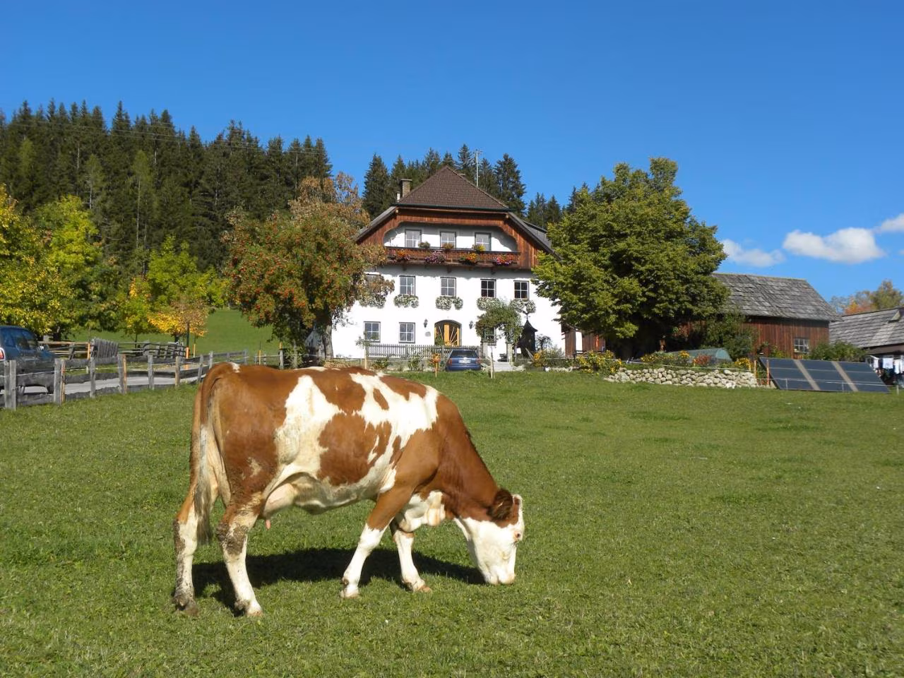 Bild der Unterkunft