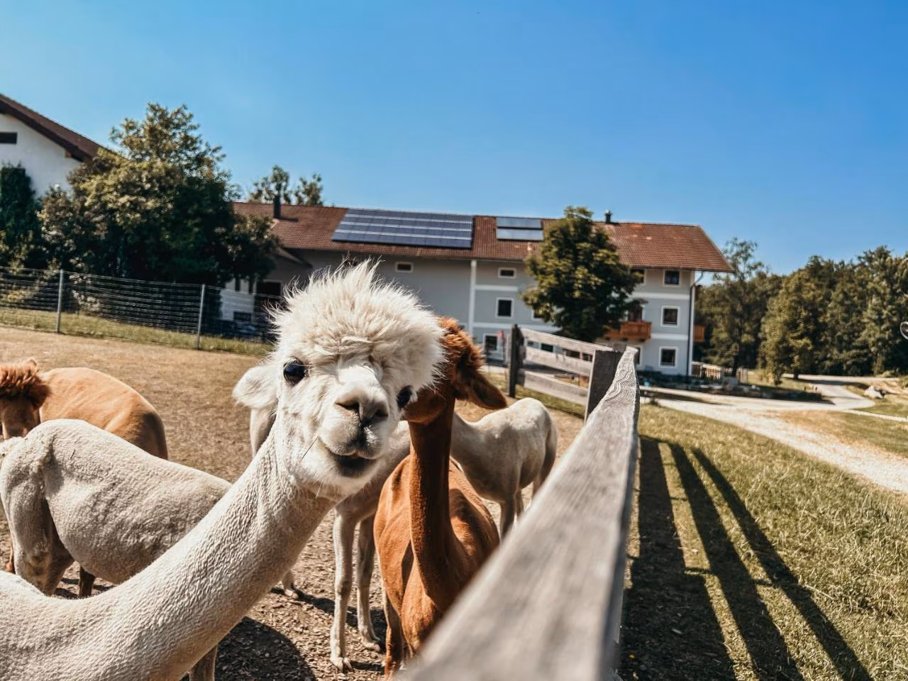 Bild der Unterkunft