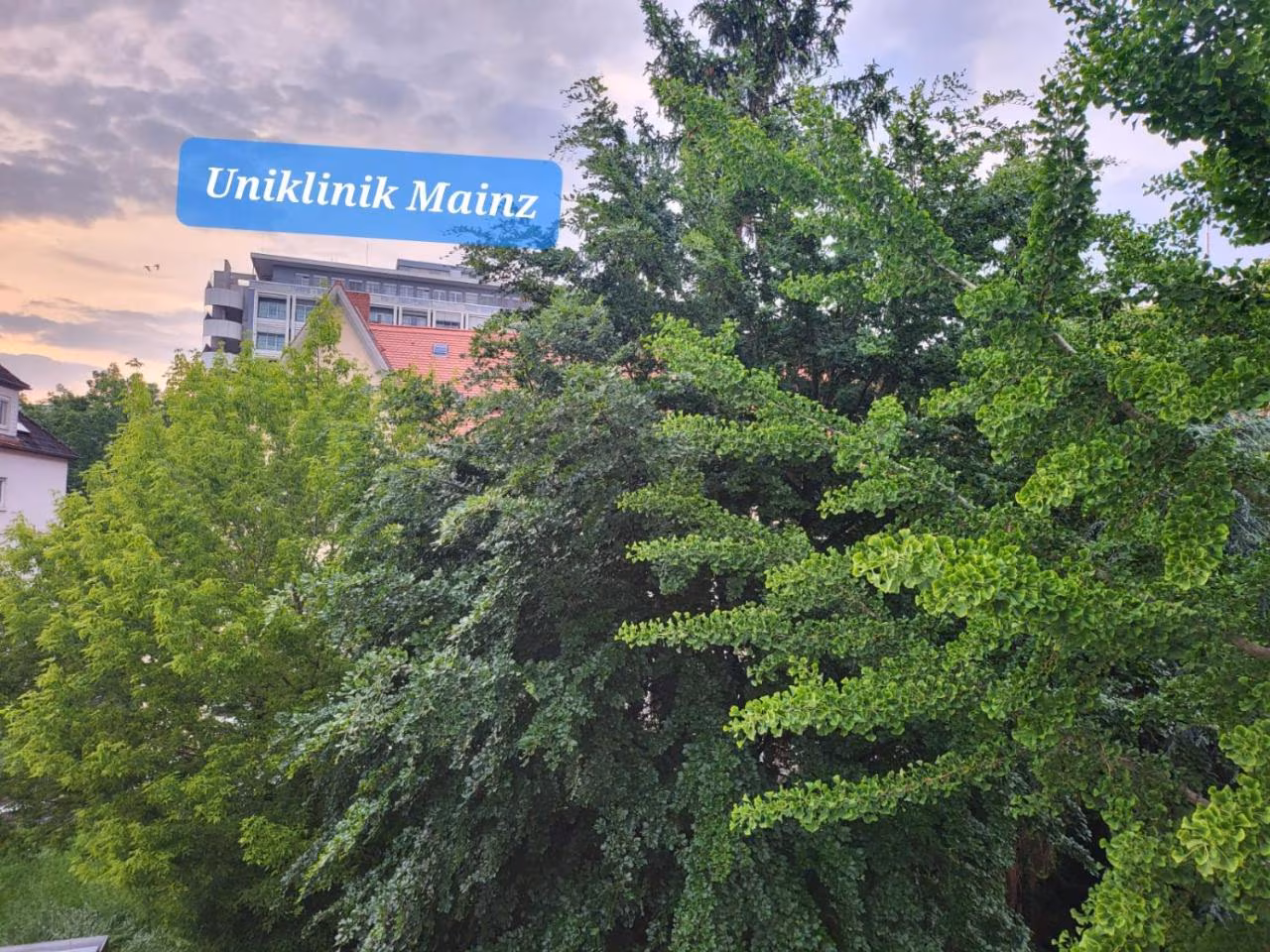 Bild der Unterkunft