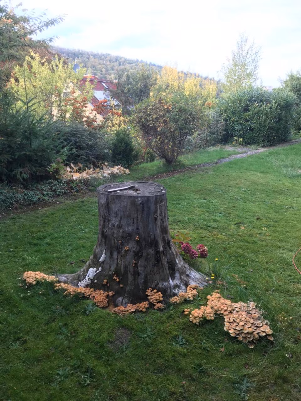 Apartment mit 3 Schlafzimmern