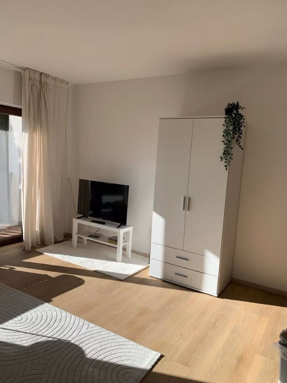 Apartment mit 1 Schlafzimmer