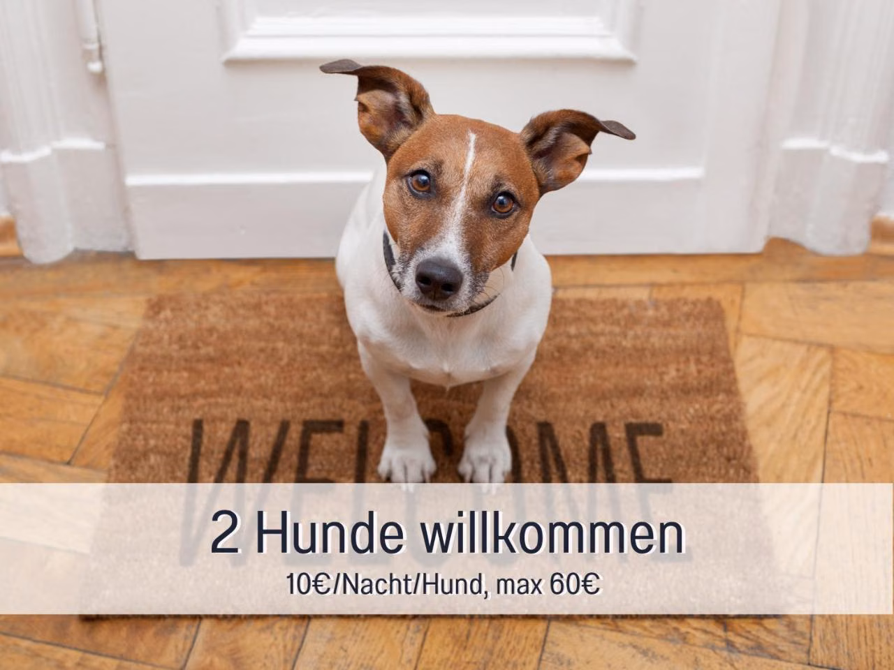 Bild der Unterkunft