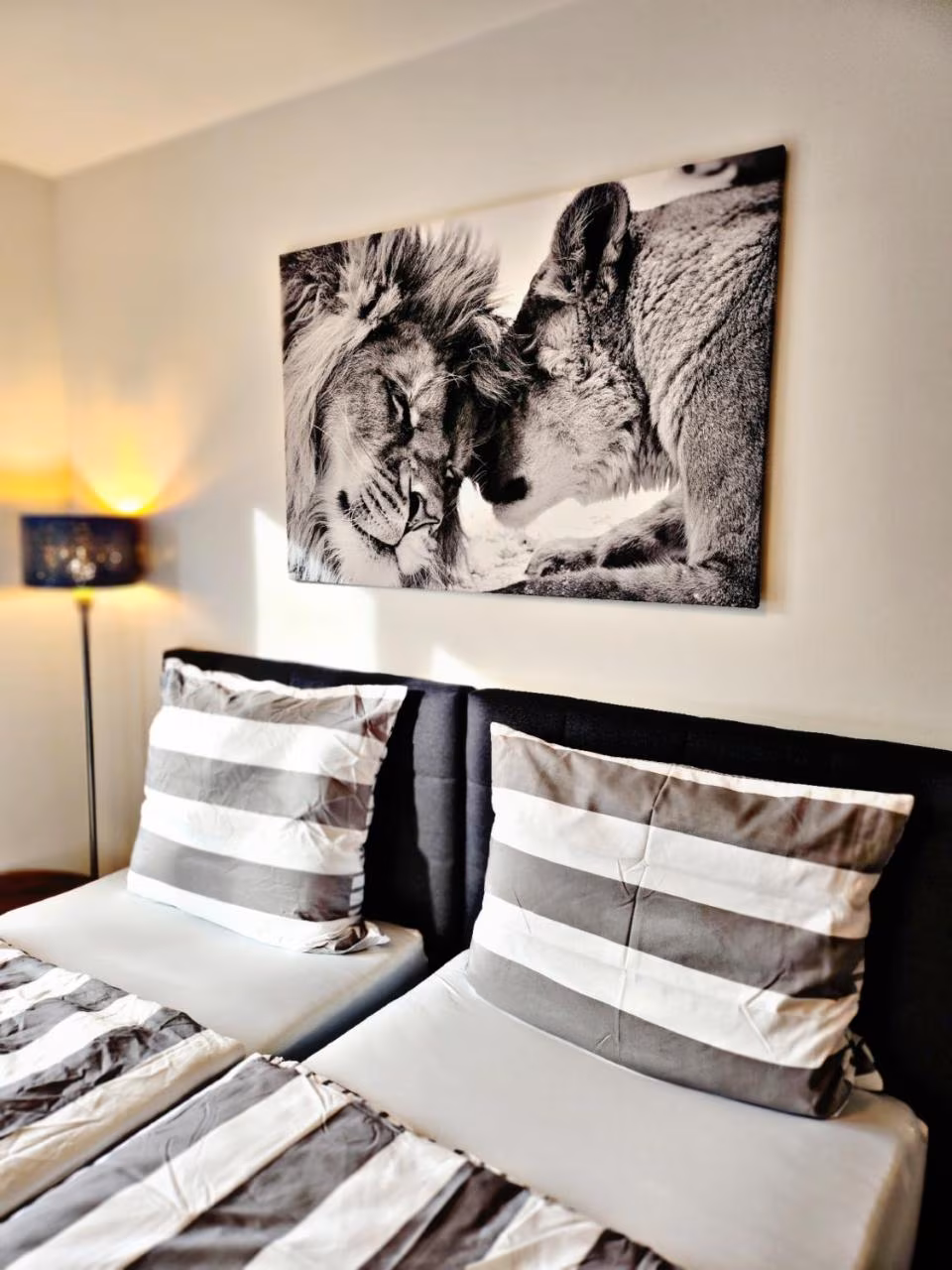 Standard Apartment