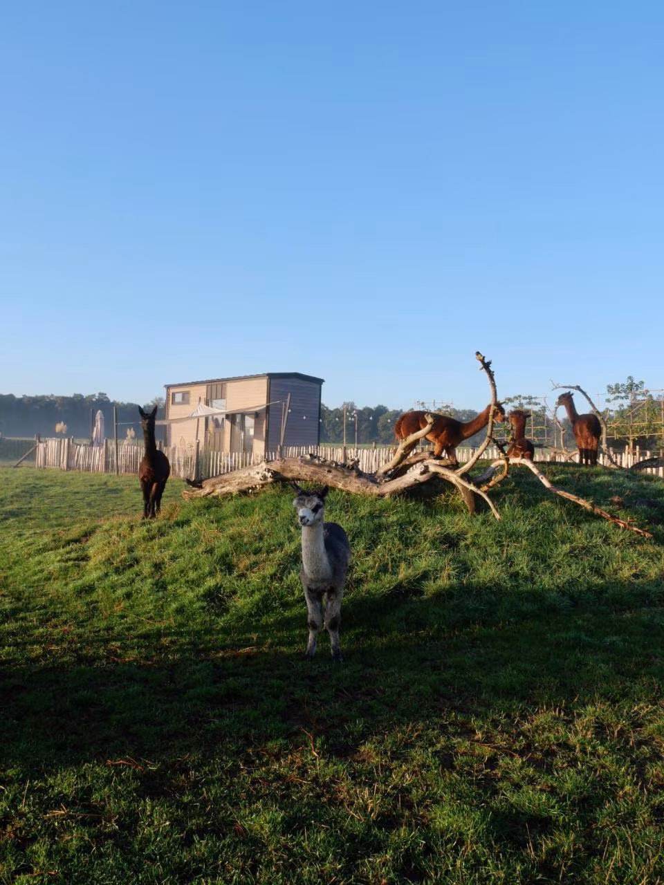 Bild der Unterkunft