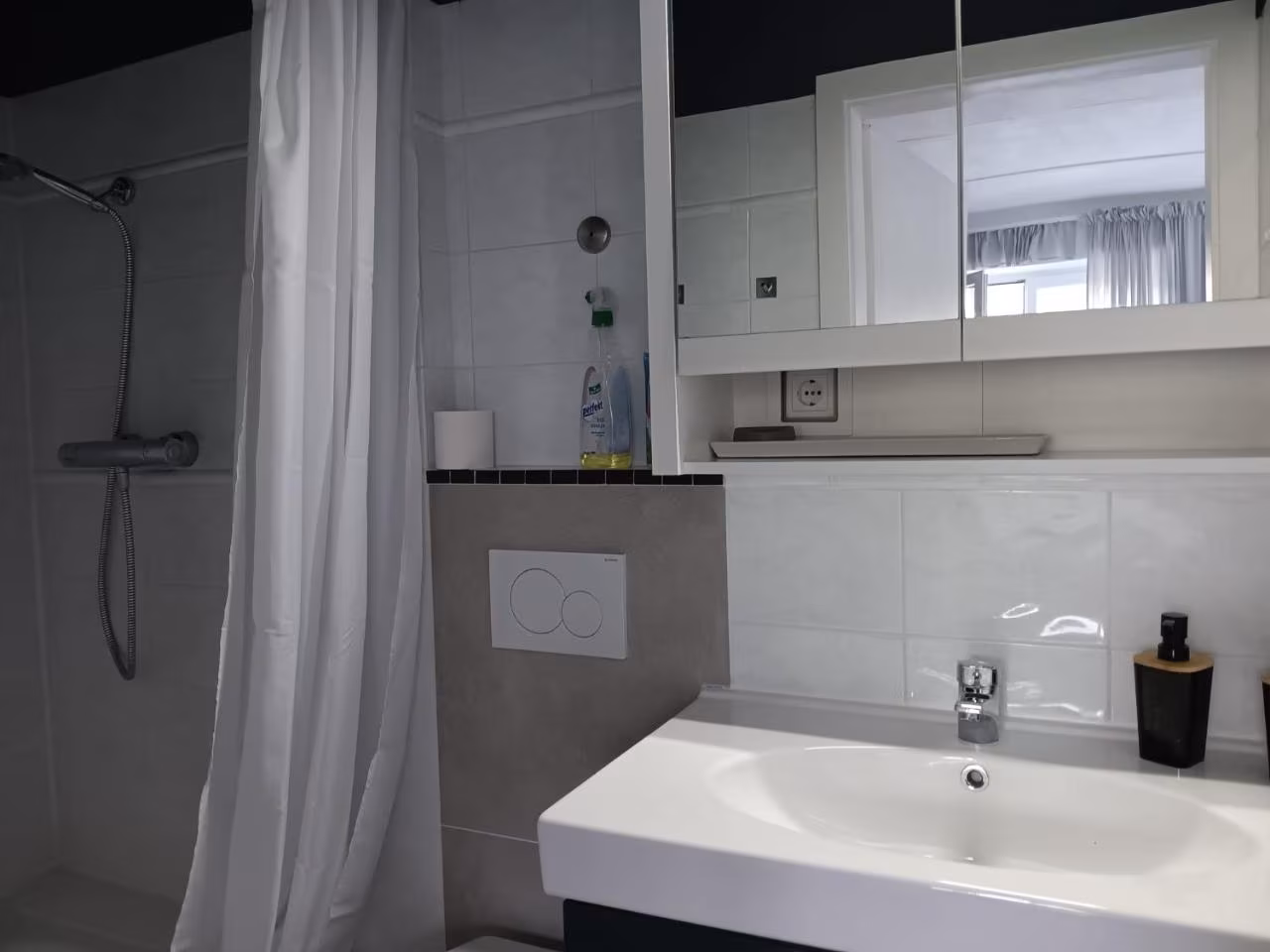 Apartment mit 1 Schlafzimmer