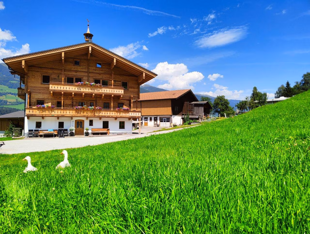 Bild der Unterkunft