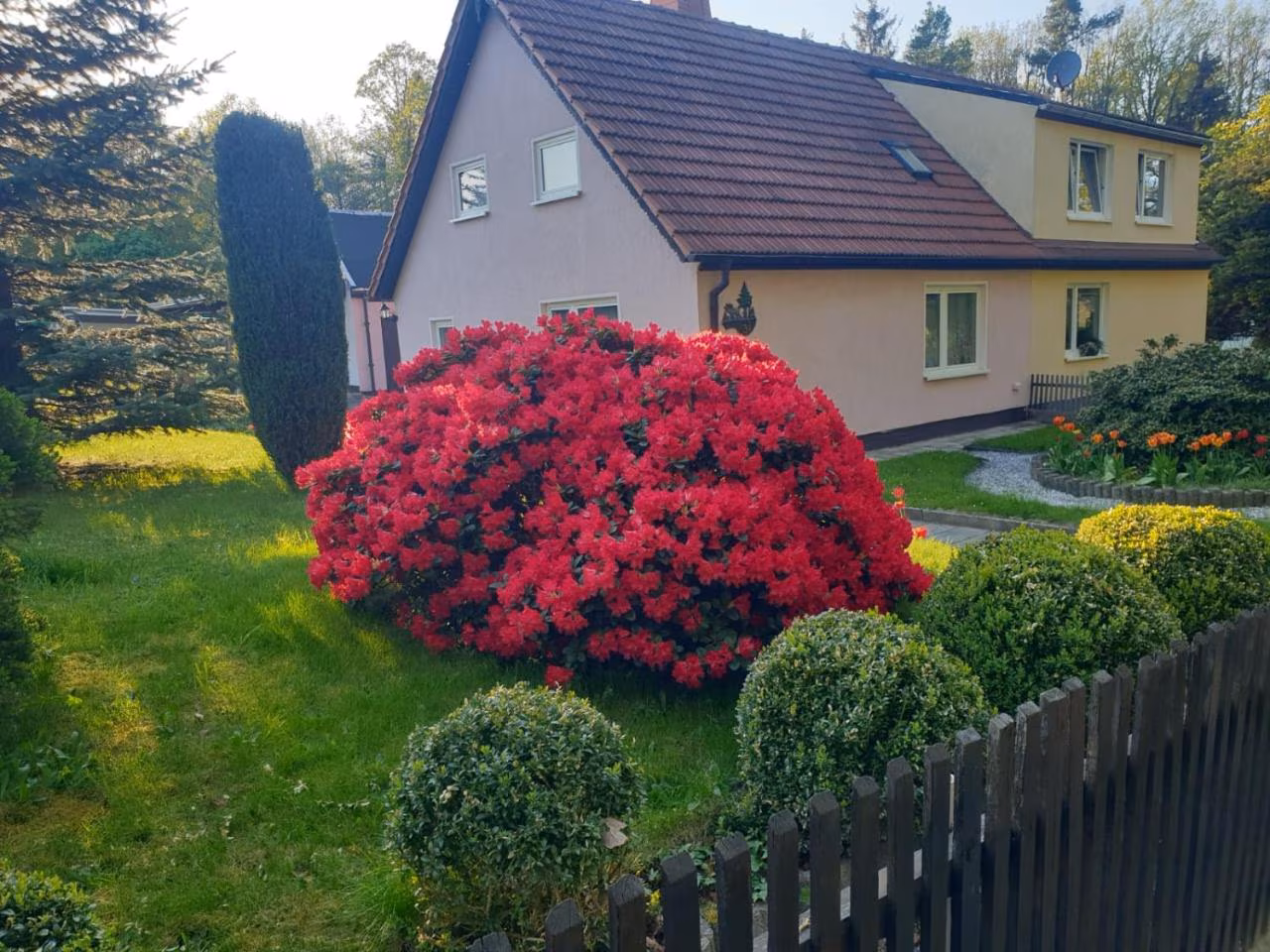 Bild der Unterkunft