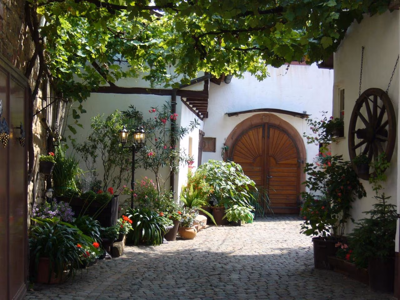 Bild der Unterkunft